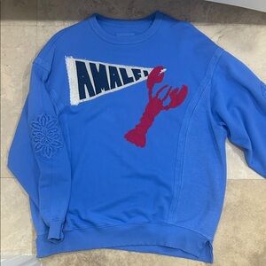NEVER WORN! XS FITS LIKE SMALL OVERSIZED Aerie Crewneck Sweater with Red Lobster